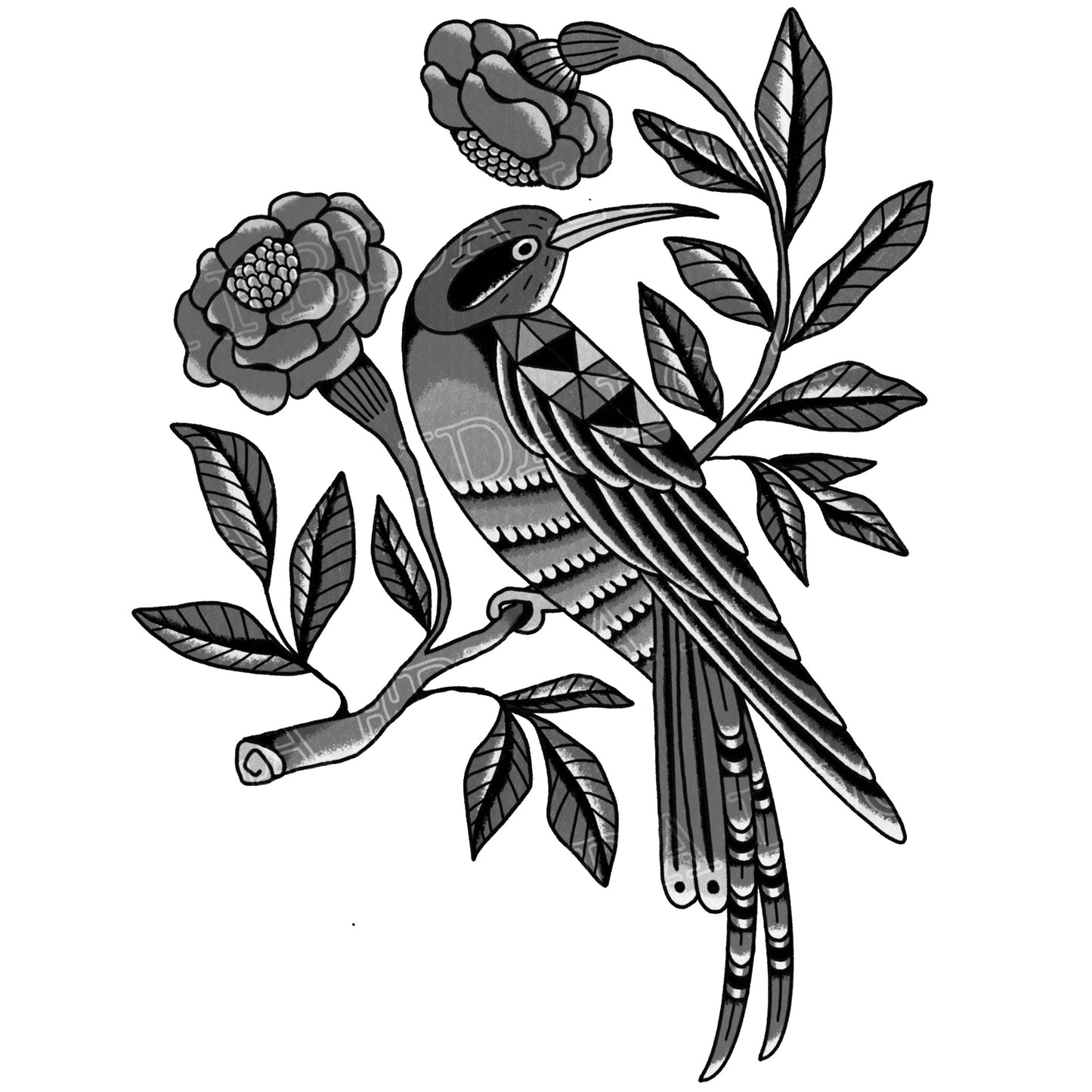 L’architecte des songes