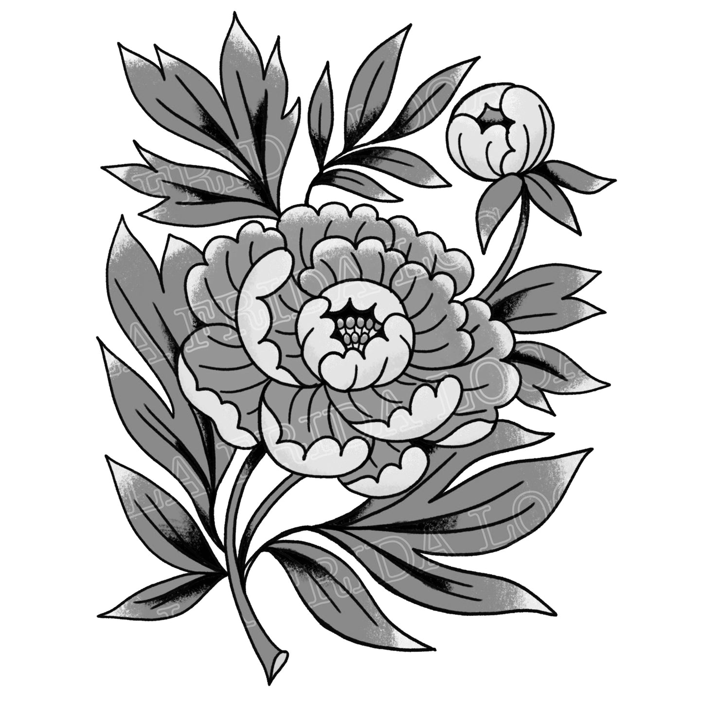 Pivoines