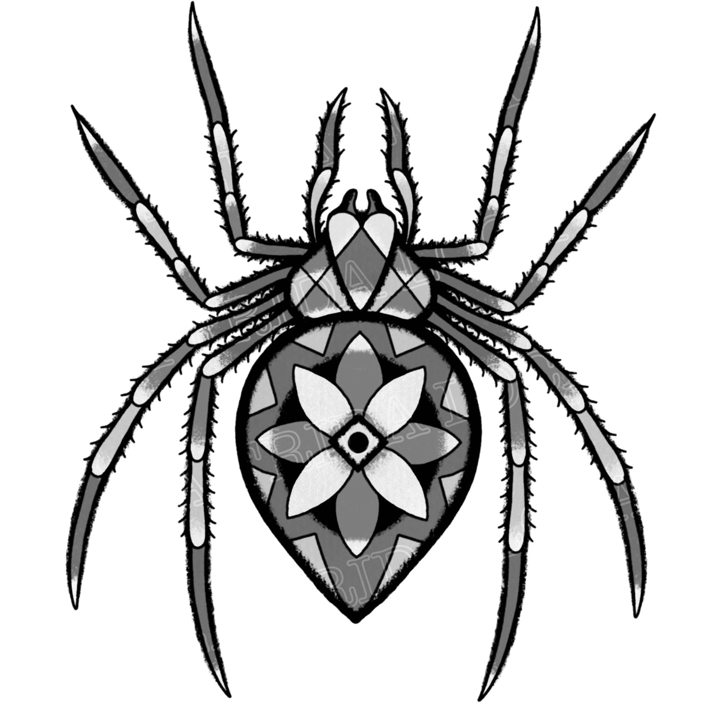 Araignée