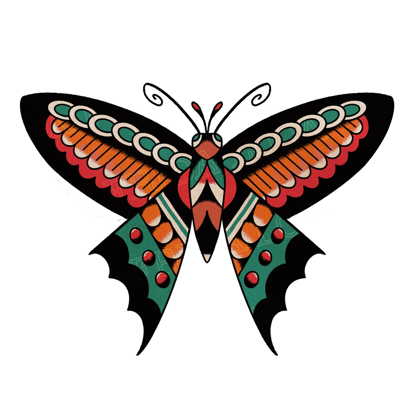 Papillon