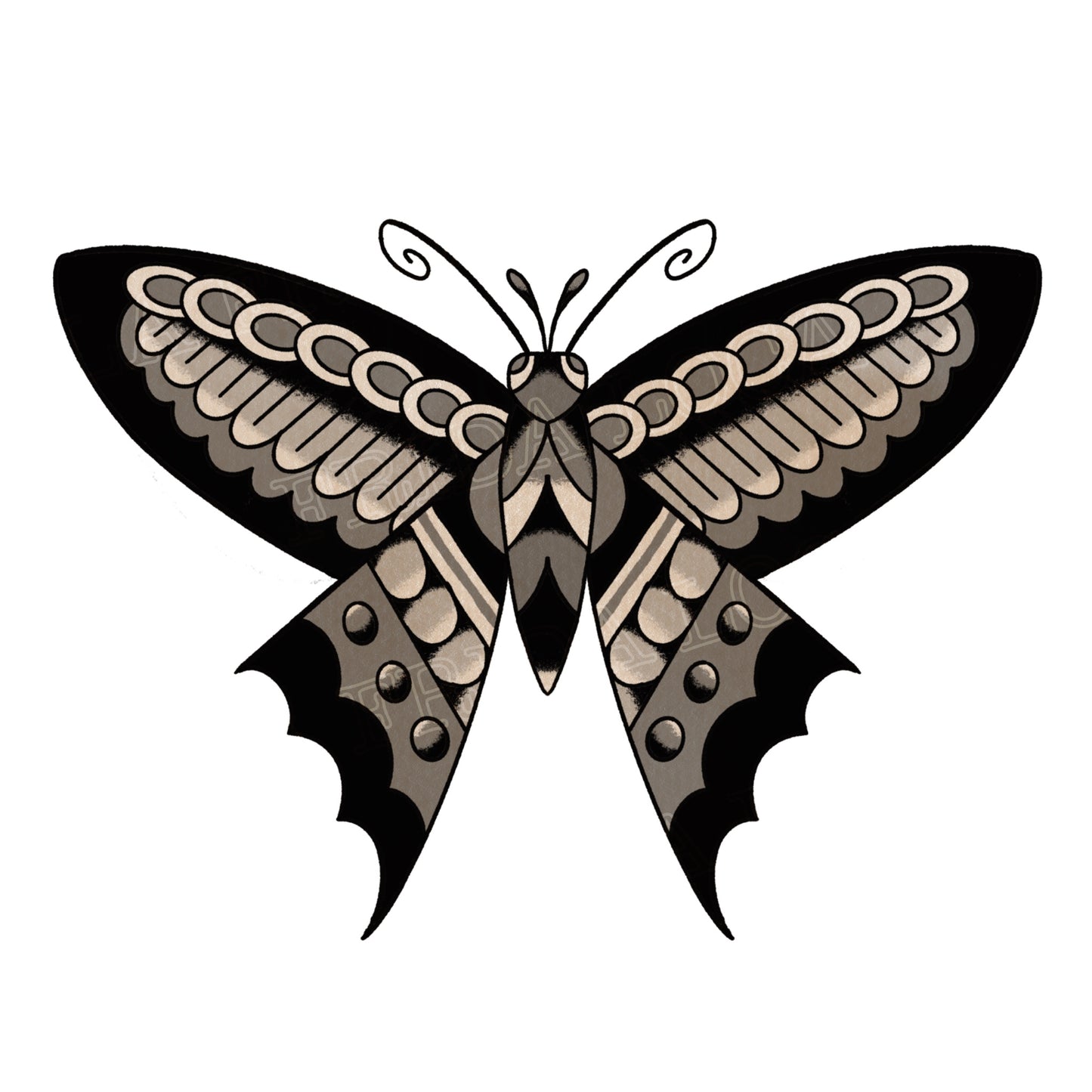 Papillon