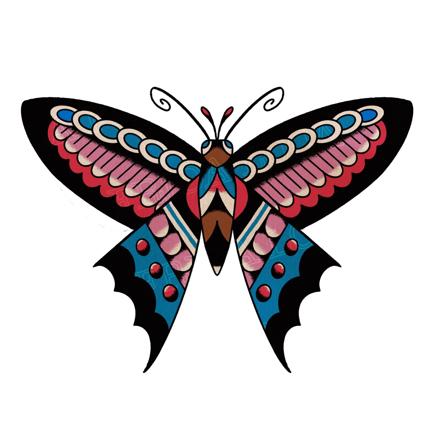 Papillon